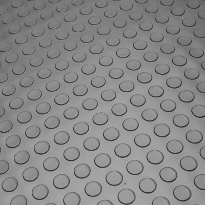 Piso emborrachado moeda academia